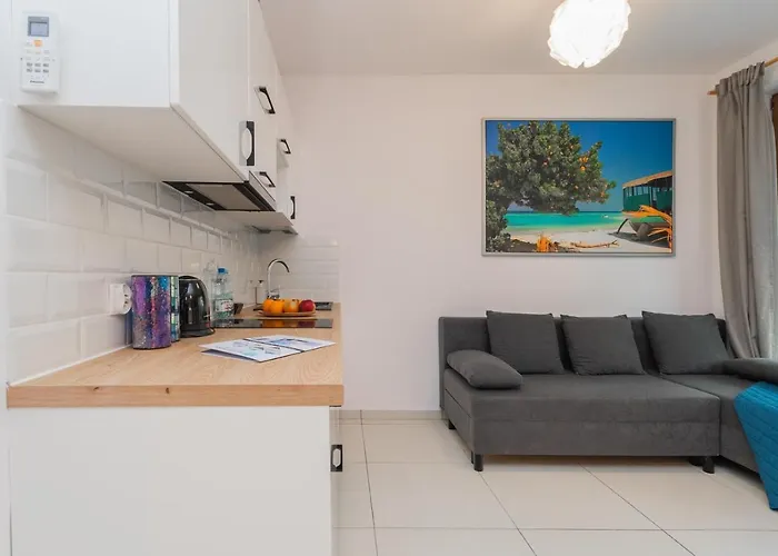 公寓 Mierzeja - Baltic Park Stegna, 24 M2, 500 M Od Plazy, Bezplatny Meleks 斯蒂格纳