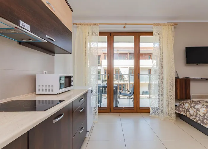 公寓 Mierzeja - Baltic Park Stegna, 24 M2, 500 M Od Plazy, Bezplatny Meleks 斯蒂格纳