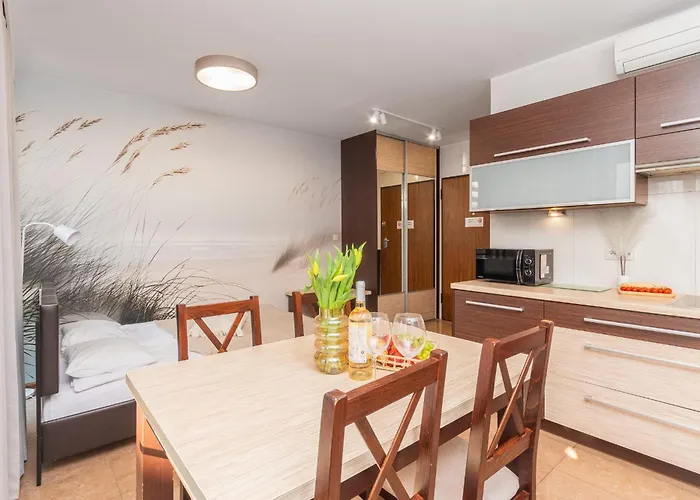 公寓 Mierzeja - Baltic Park Stegna, 24 M2, 500 M Od Plazy, Bezplatny Meleks *